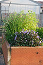 Cox_20110518_0045