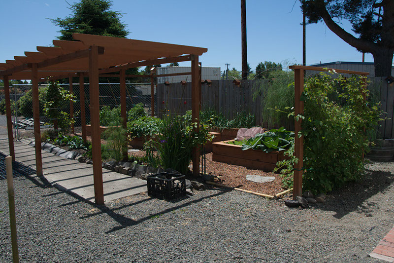 Cox_20110625_145