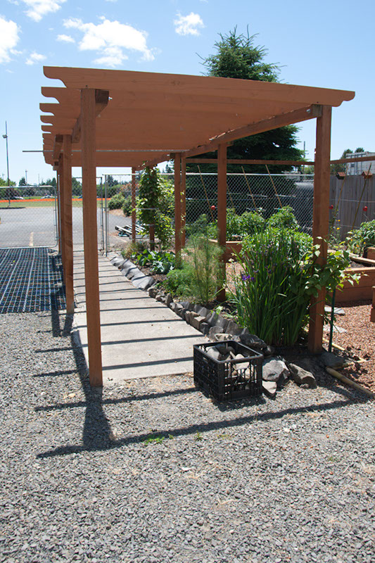 Cox_20110625_140