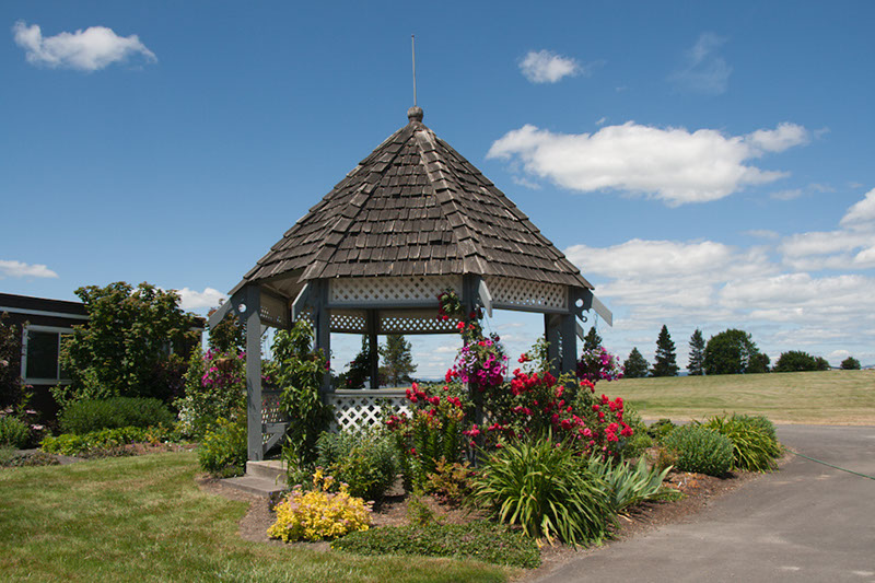 Cox_20110625_152
