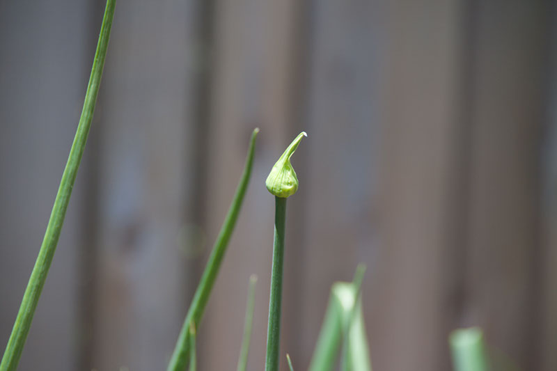 Cox_20110625_132