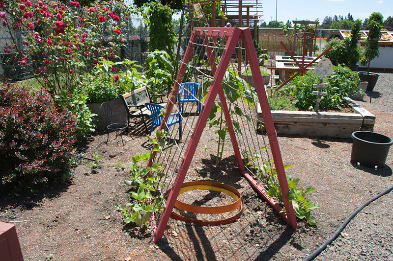Cox_20110625_103