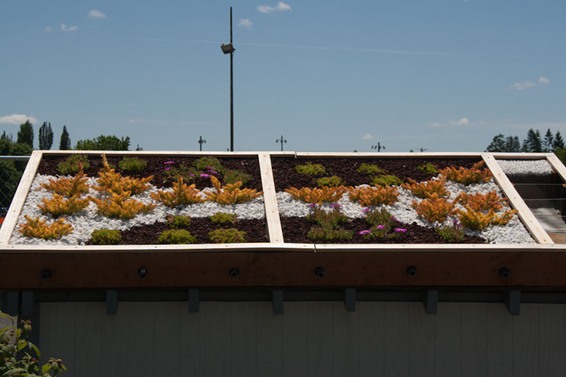 Cox_20110625_120