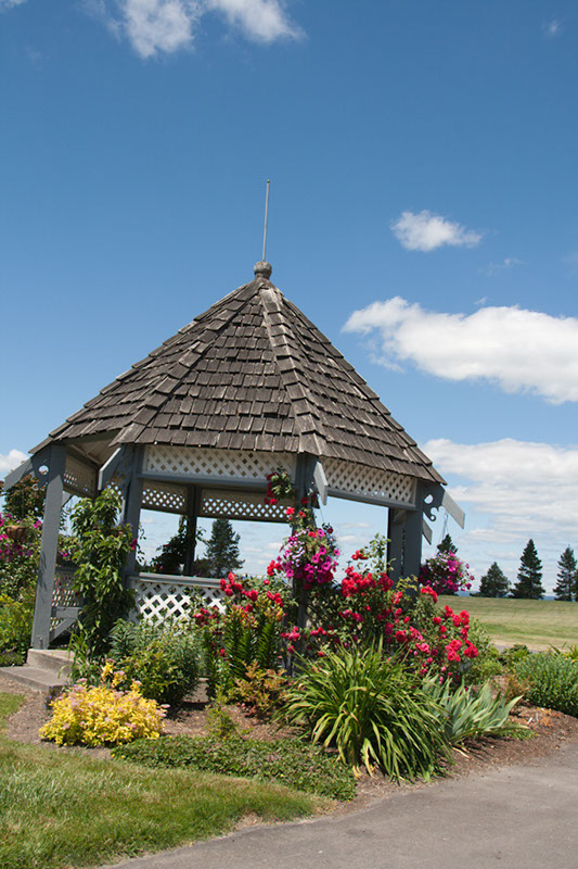 Cox_20110625_153