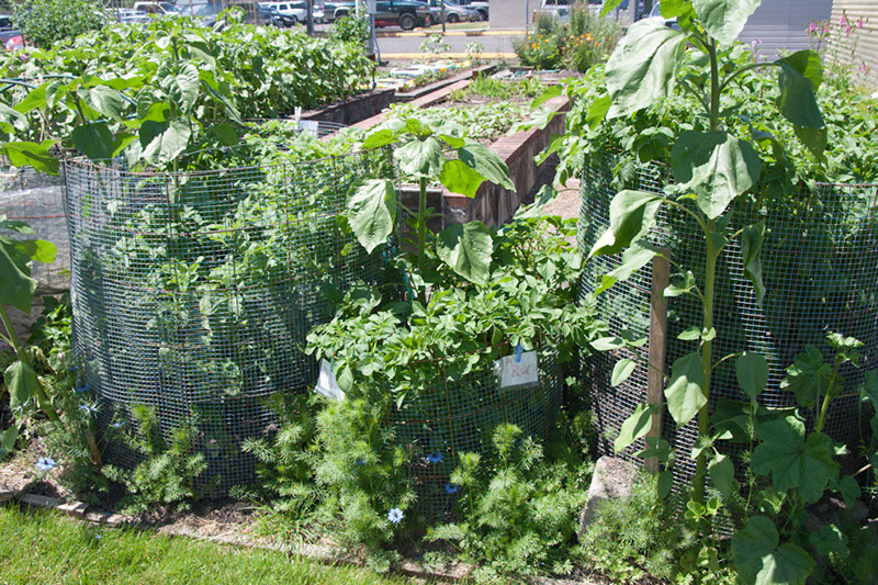 Cox_20110625_033