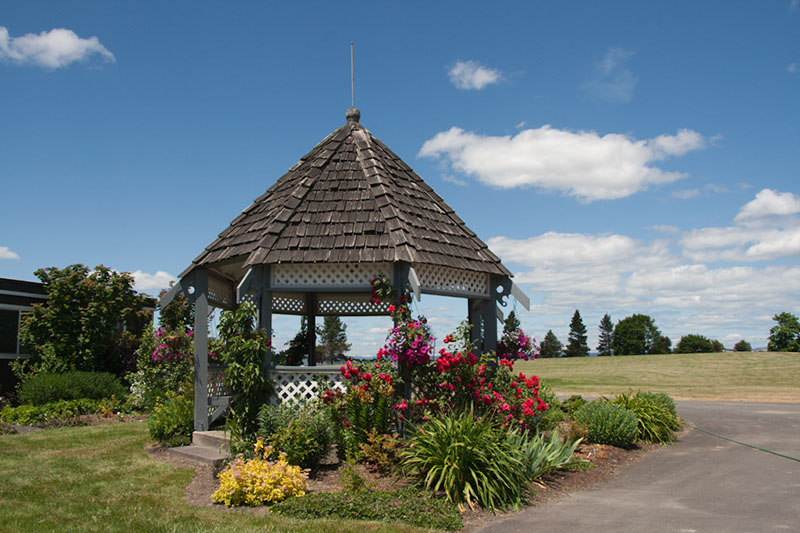 Cox_20110625_151