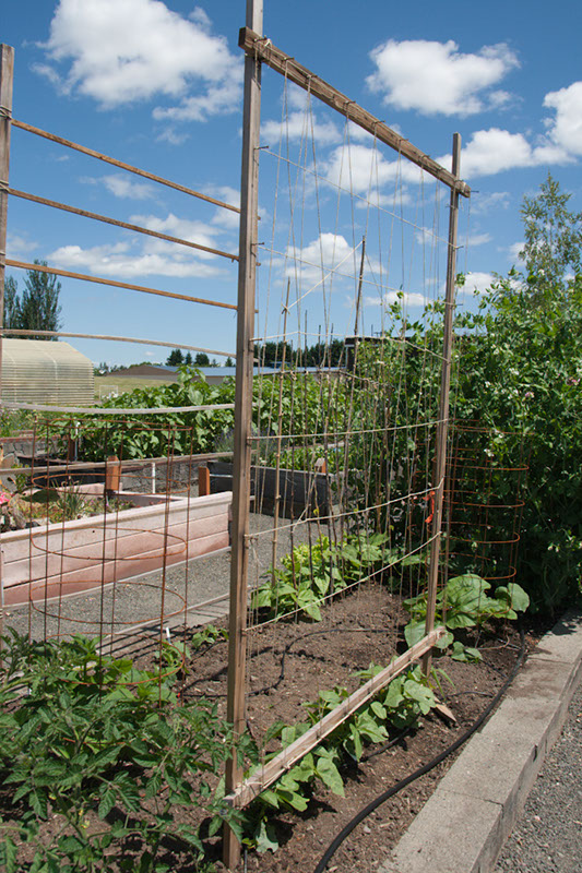 Cox_20110625_010