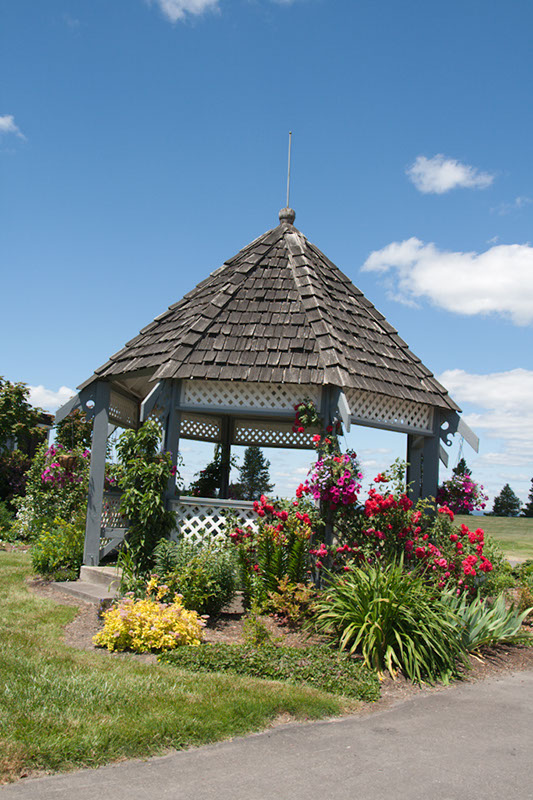 Cox_20110625_154