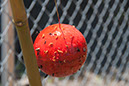 Cox_20110625_124