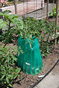 Cox_20110625_012