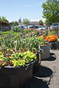 Cox_20110625_039