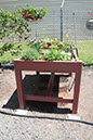 Cox_20110625_097