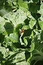 Cox_20110625_078