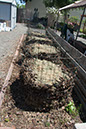Cox_20110625_088