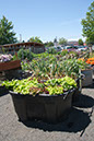 Cox_20110625_037