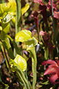 Cox_20110625_057