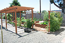 Cox_20110625_146