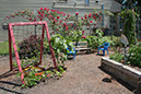 Cox_20110625_148