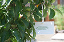 Cox_20110625_111