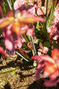 Cox_20110625_056