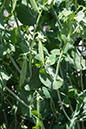 Cox_20110625_004