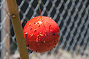 Cox_20110625_125