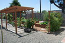 Cox_20110625_144