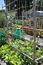 Cox_20110625_021