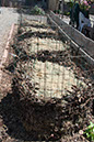 Cox_20110625_090