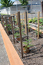 Cox_20110625_040
