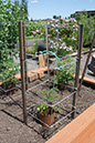 Cox_20110625_042