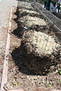Cox_20110625_087