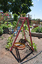 Cox_20110625_104