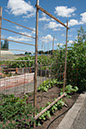 Cox_20110625_009