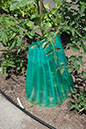 Cox_20110625_013
