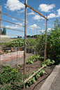 Cox_20110625_011