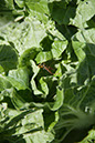 Cox_20110625_077