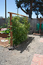 Cox_20110625_143