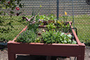 Cox_20110625_099