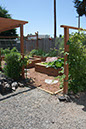 Cox_20110625_142