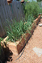 Cox_20110625_130
