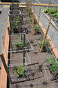 Cox_20110625_048