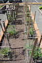 Cox_20110625_049