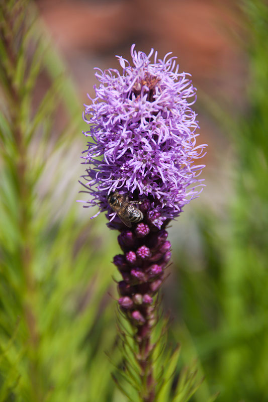 Cox_20110730_046