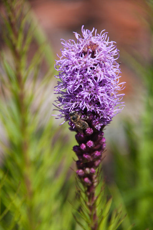 Cox_20110730_047
