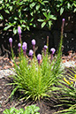 Cox_20110730_028