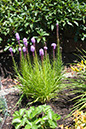 Cox_20110730_029