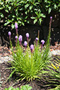 Cox_20110730_027