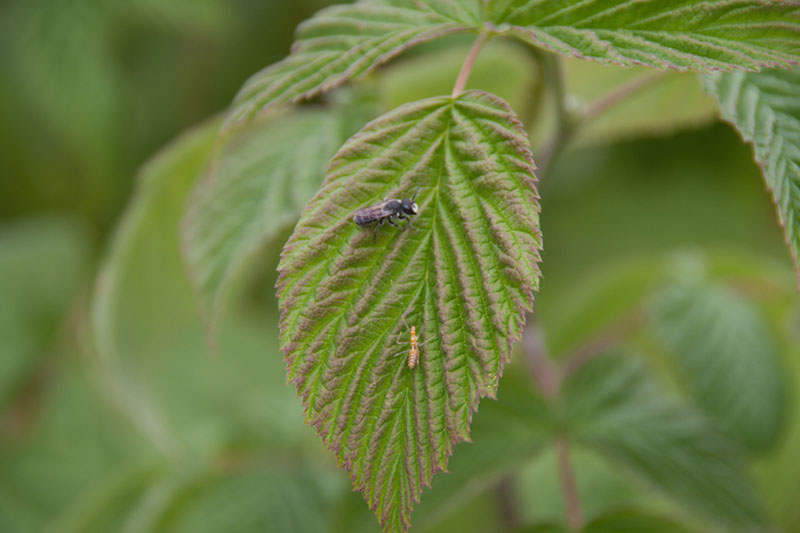 Cox_20110806_122