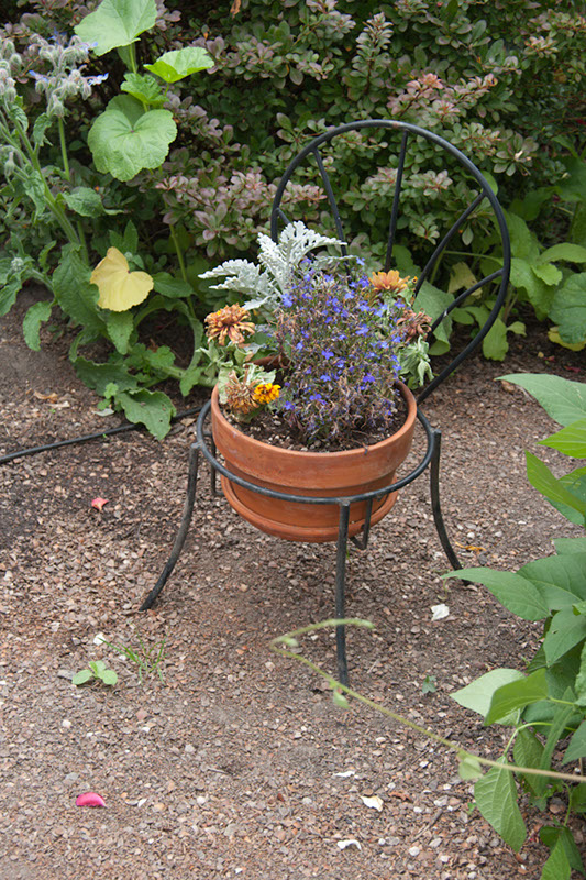 Cox_20110806_102